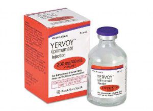 yervoy ipilimumab side effects and survival rate