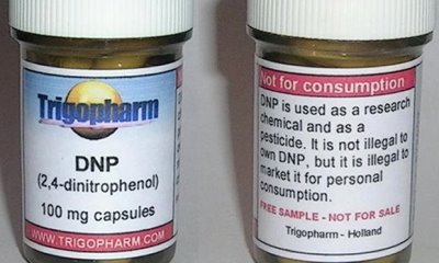dinitrophenol weight loss side effects - death - buying it is wasting life and money